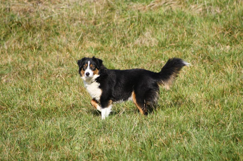 Rita Du Domaine De Zakur