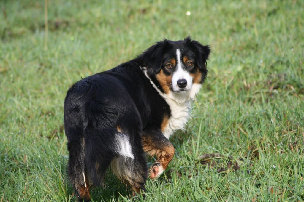 RITA : Jeune Retraitée prête pour débuter une nouvelle histoire...